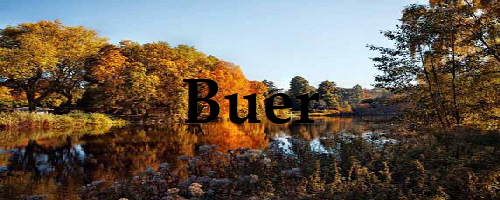 Buer-neu